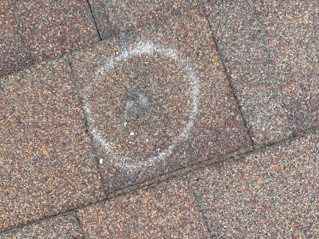 Hail impact mark circled in white chalk on an asphalt shingle